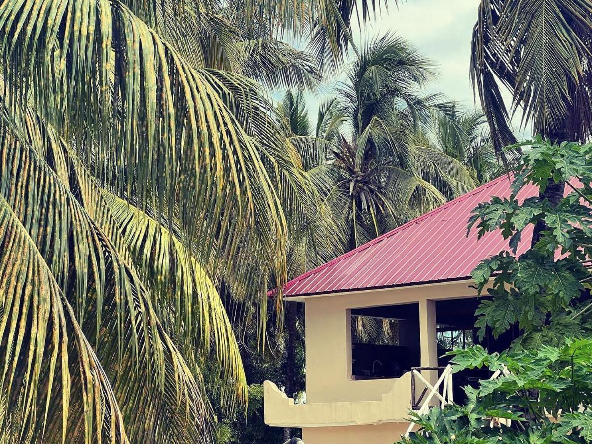 Freshi Residence Jambiani  Bagian luar foto